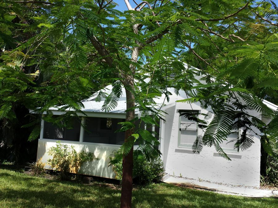 Click to See Next Image